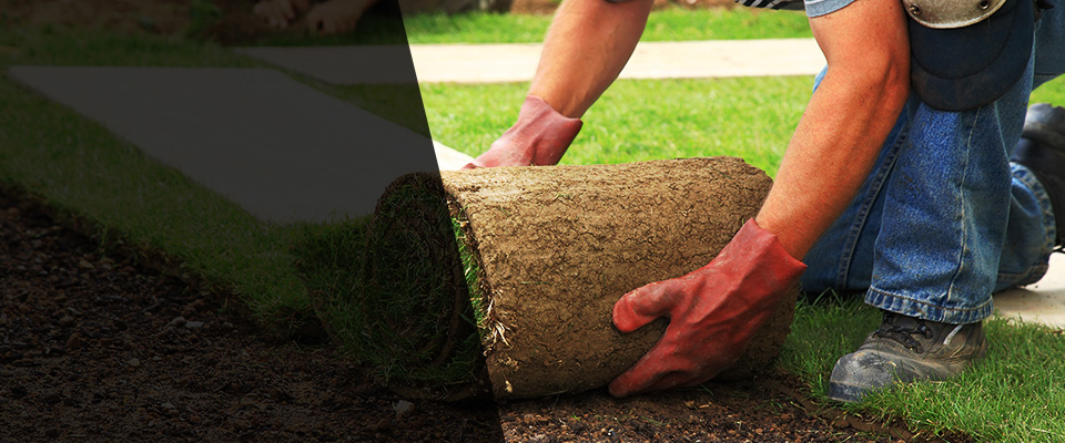 Indian River Landscapers